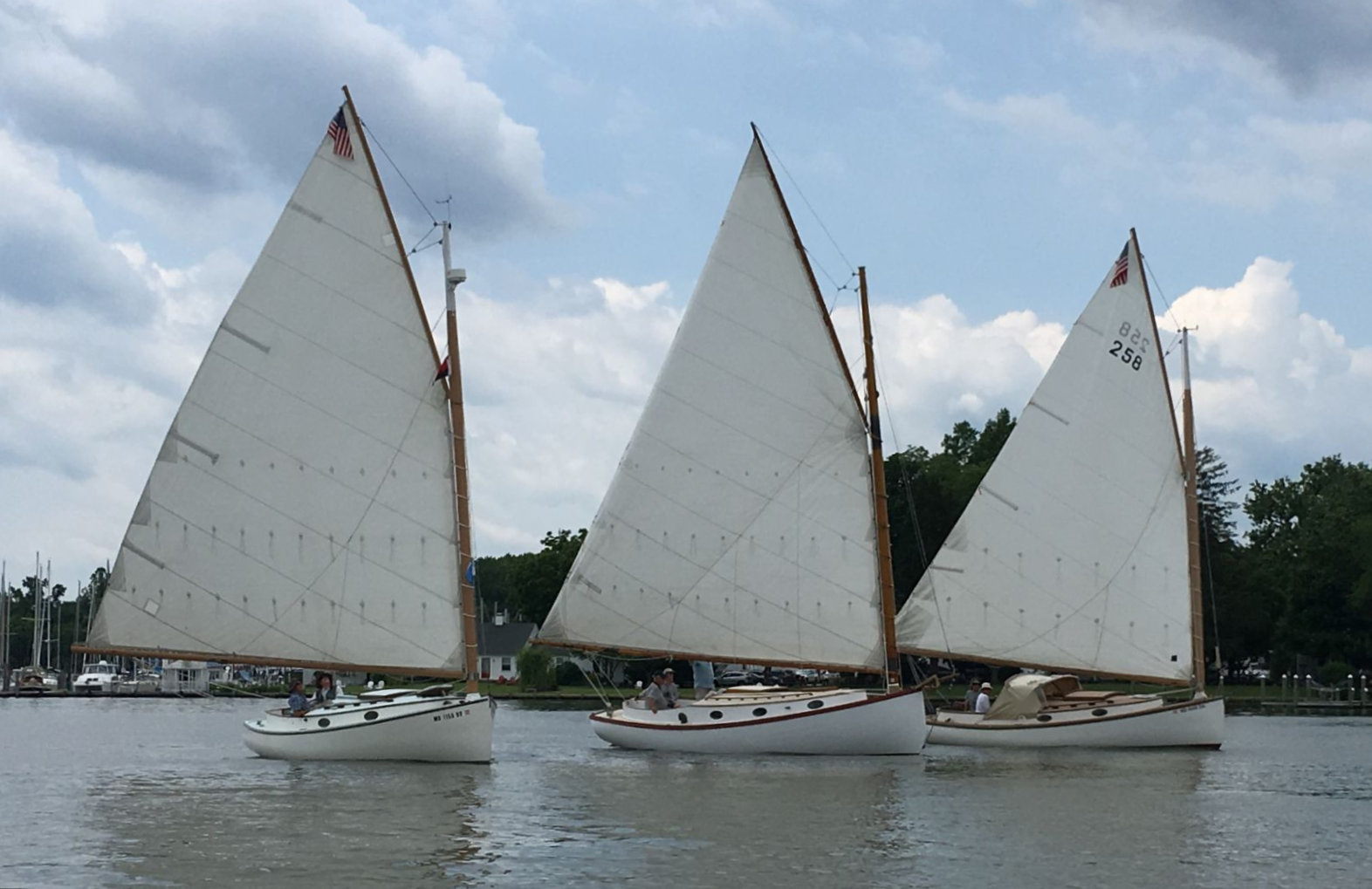 CCBA members sailing in a informal catboat parade in Oxford Maryland